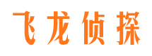 殷都市私家侦探